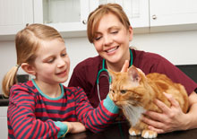 Common pet insurance claims